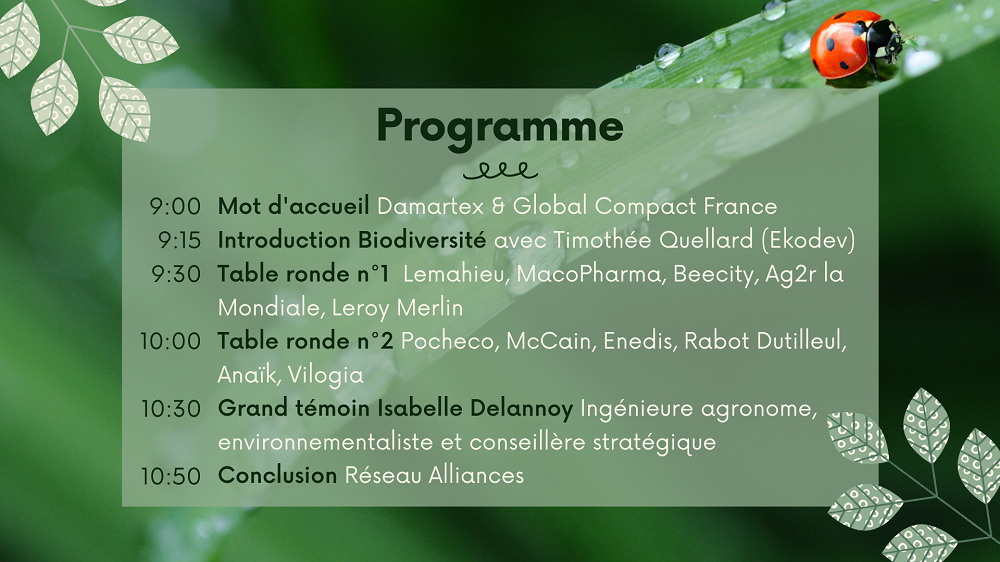 210329 programme damartex