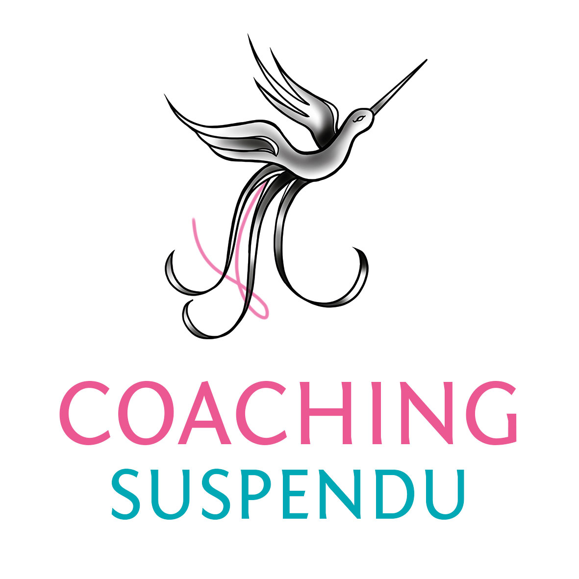 LE COACHING SUSPENDU