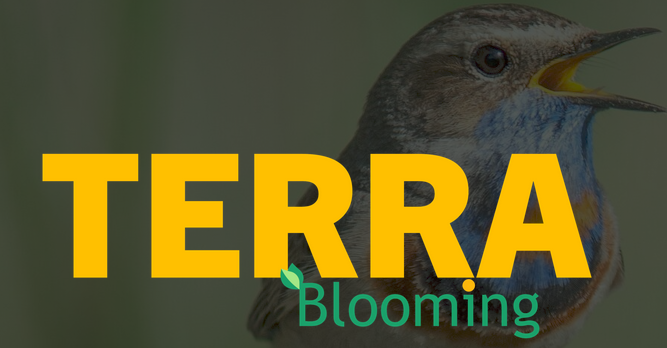 Photo d'un oiseau avec la mention "Terra Blooming"