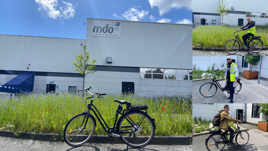 240531 mdo 3