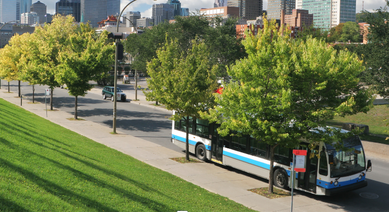Bus à l'arrêt dans une ville (image d'illustration)