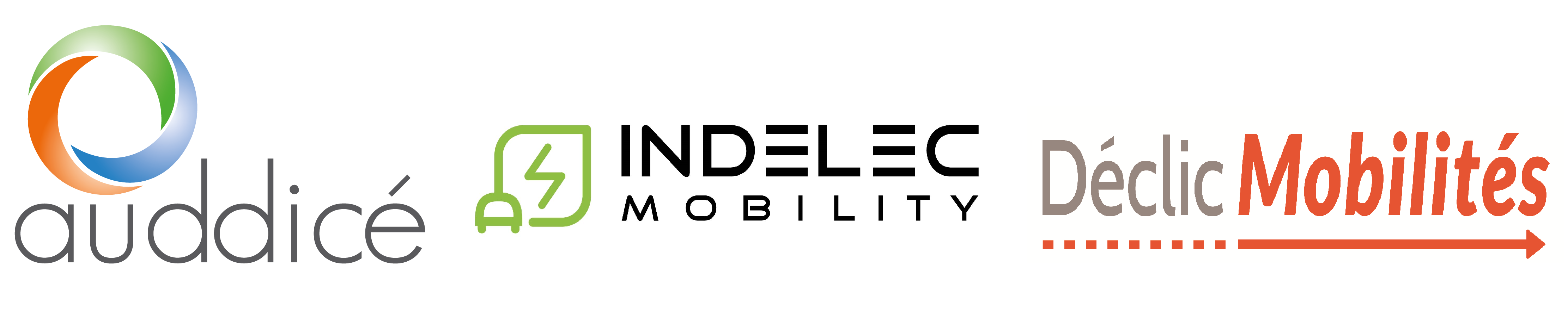 241116 auddice dm indelec