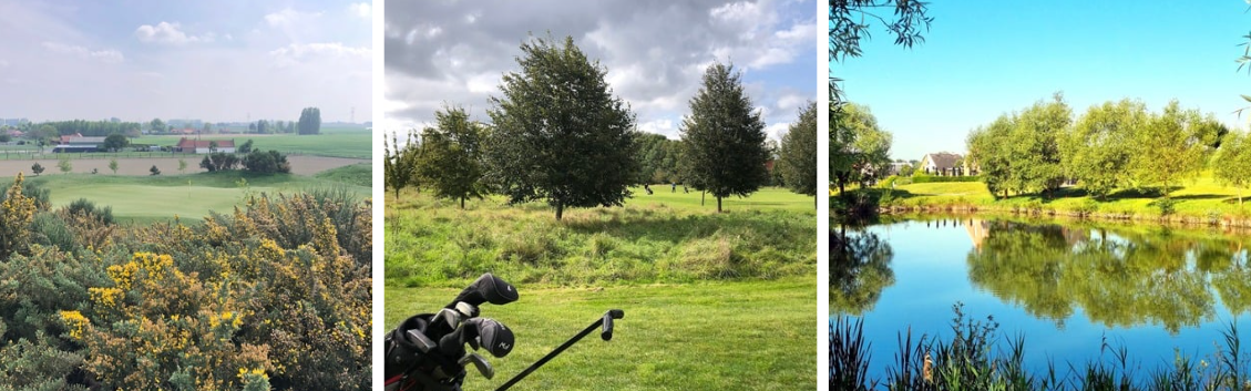 250411 golf blog
