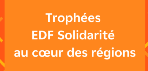 Deuxième édition des Trophées EDF Solidarité 