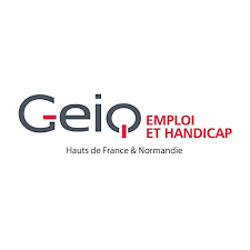 GEIQ EMPLOI ET HANDICAP