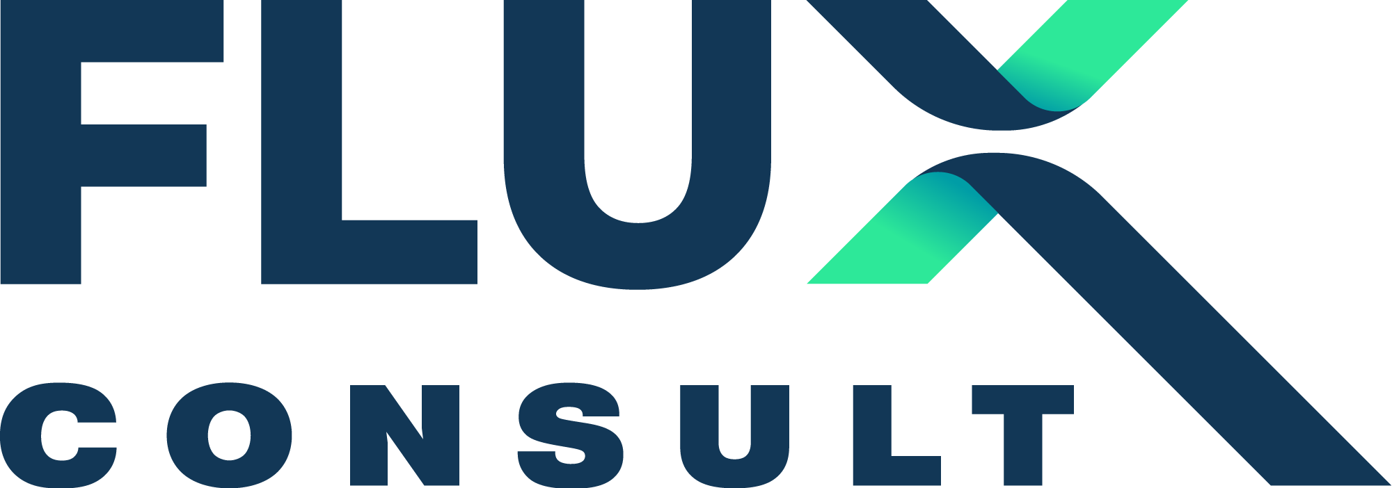 FLUX CONSULT