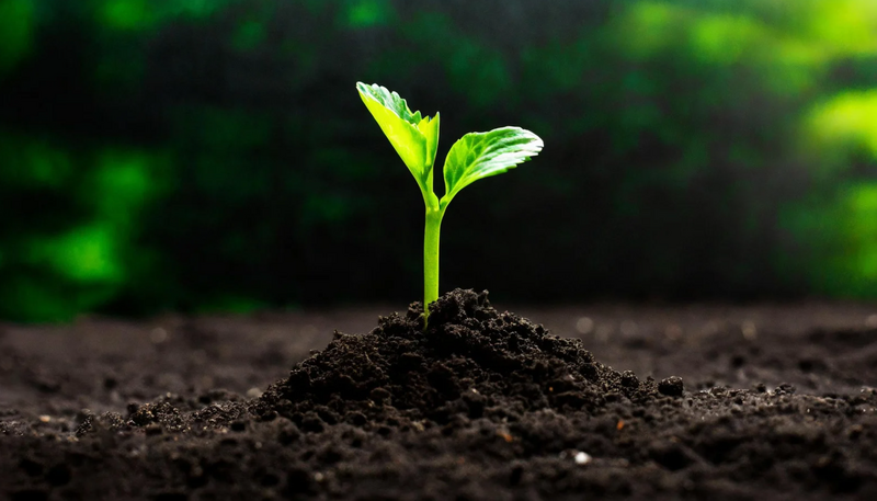 L'OFB et l'ADEME publient ACT Biodiversité pour accompagner les entreprises dans leurs stratégies nature