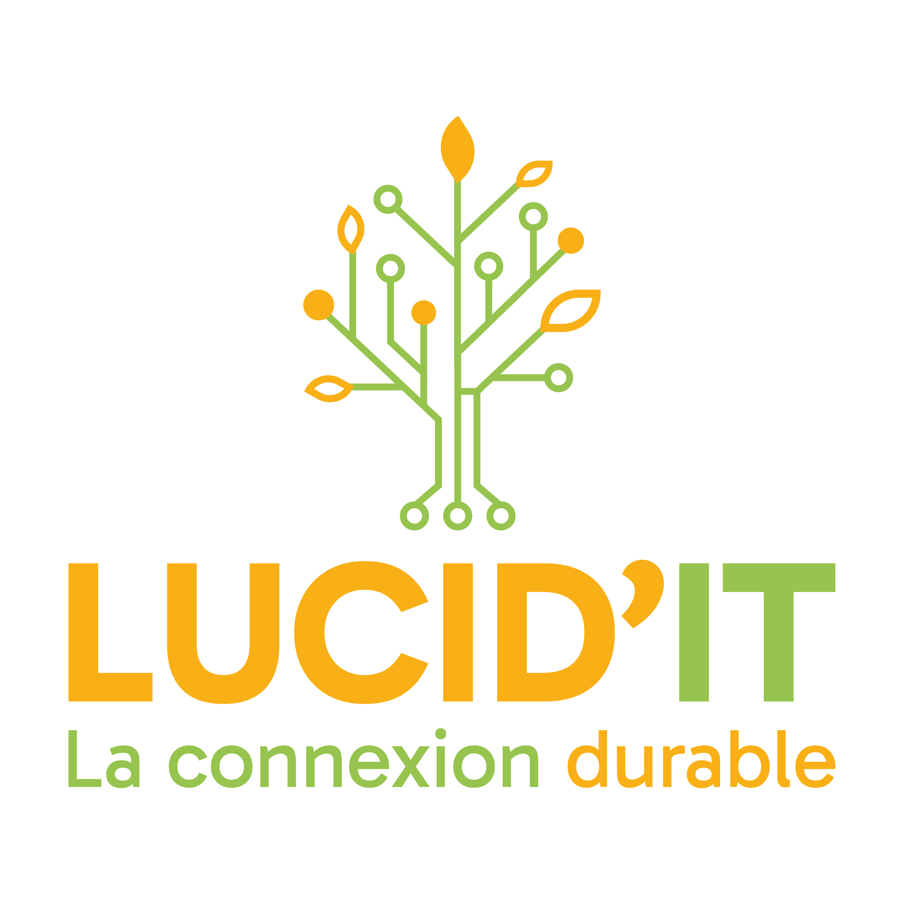LUCID'IT