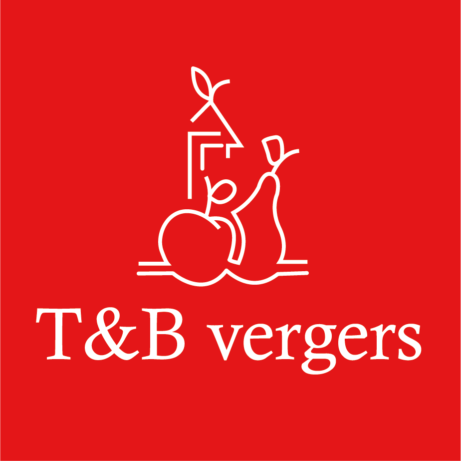 T&B VERGERS