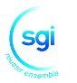 SGI INFORMATIQUE