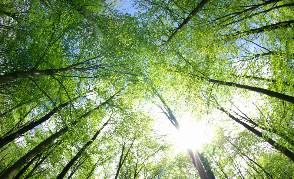 environnement bilan 2018