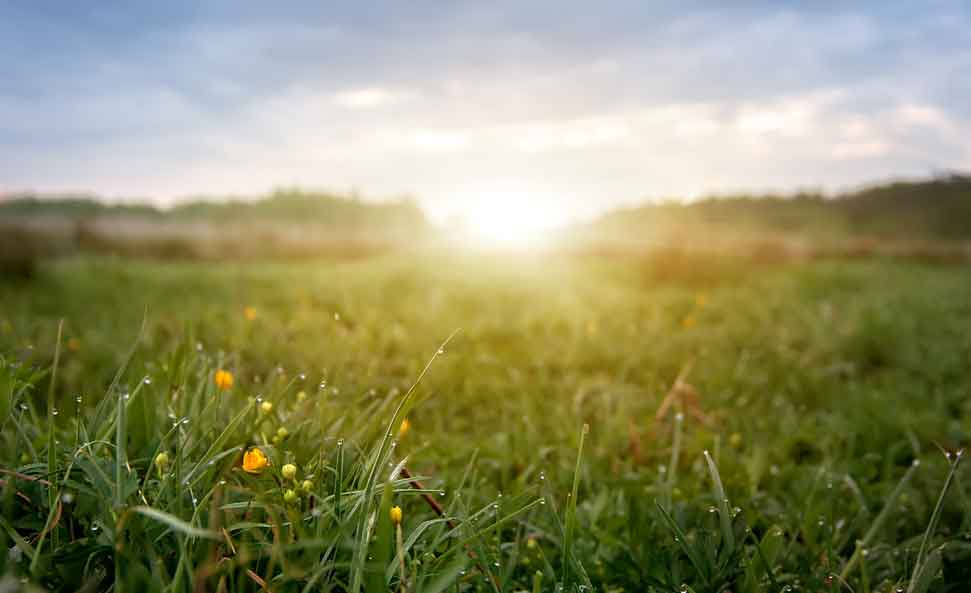 france protection environnement