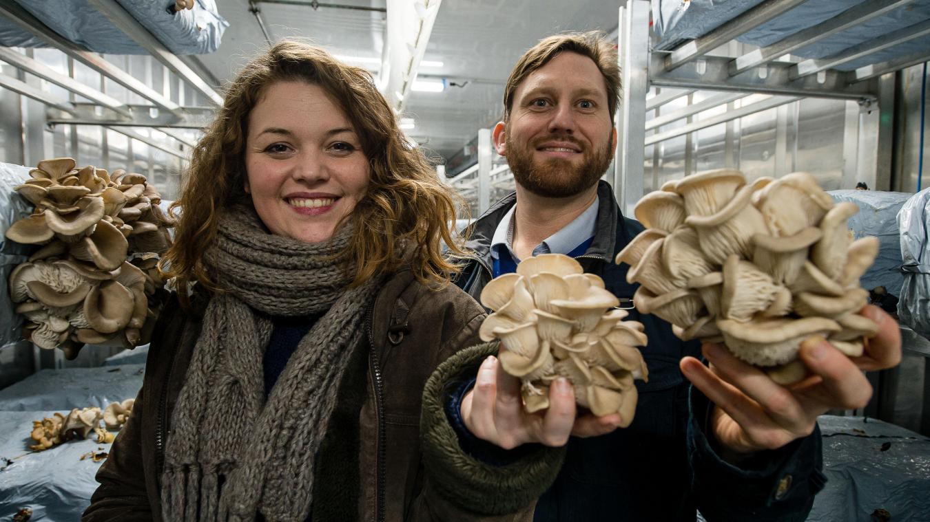 Quand le marc de café sert à faire pousser des champignons «maison»  Pleurette - Réseau Alliances